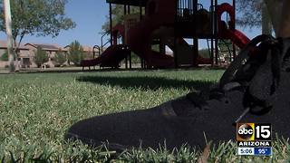 Laveen residents fed up with vandalism at neighborhood park