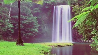 DREAM SOUNDS - 1HOUR of Waterfall & Rain Forest Healing Nature Tones & Ambient Sounds Rest & Relax