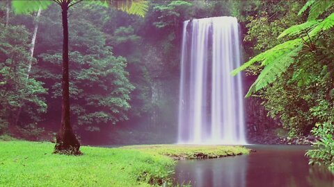 DREAM SOUNDS - 1HOUR of Waterfall & Rain Forest Healing Nature Tones & Ambient Sounds Rest & Relax