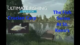 Ultimate Fishing Simulator: The Fish - St. Kenos - Crucian Carp - [00012]