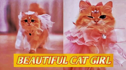 Fancy fashion for cute cat girls🥰🥰 Love cats🥰🥰