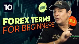 Forex Trading Terms Explained - Forex Trading for Beginners