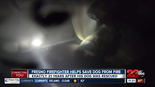 Check This Out: Fresno firefighter helps save dog from fire