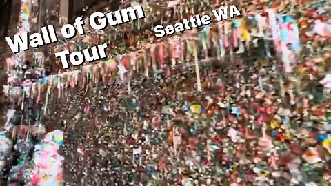 Seattle's Wall Of Gum tour... Aug 2023