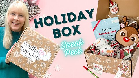 Holiday Gift Box Reveal