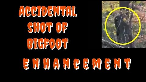 Accidental shot of Bigfoot | Enhancement
