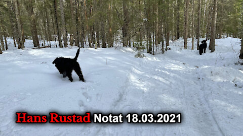 Hans Rustad notat 18 03 2021 Intervenerer Gud i historien?