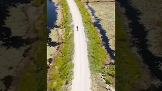 Drone Captures ATV On The Victoria Rail Trail #short #shortvideo #shortsvideo #shorts #hiking