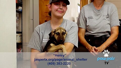 Paw Pals TV: Kat Lloyd at the City of Jasper TX Animal Shelter featuring Henry, a snugly puppy!