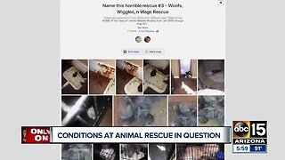 Conditions at Valley animal rescue questioned