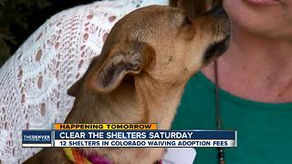 Clear the Shelters Saturday offers free adoptions