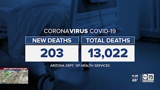 UK COVID variant found in Arizona