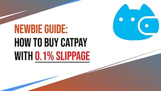 How To Buy CATPAY Token in PancakeSwap with 0.1% Slippage | Newbie Guide