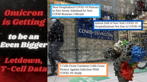 Omicron Keeps Posting Its L's Online | Common Cold T-Cells Offers Protection!