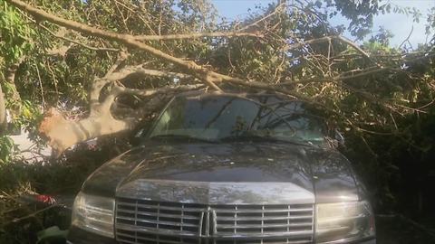 Tree falls on truck in Boynton Beach