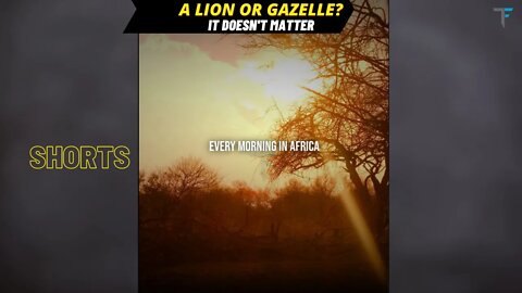 A Lion Or Gazelle It Doesn't Matter #motivation #life #shorts #inspiration #running #fyp