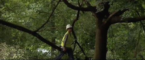 Picking up the pieces after severe storms roll through area