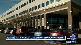 City addressing bed bug reports in Denver Human Services building