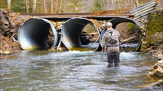 How To Catch More Trout!! (Euro Nymphing Tips and Tricks)