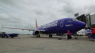 Southwest Airlines CEO takes pay cut to save jobs