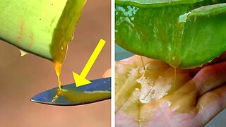 Beware! You Need To Do This Before Using Aloe Vera!