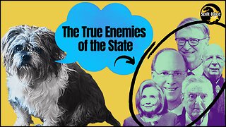 The True Enemies of the State