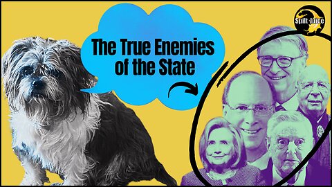 The True Enemies of the State