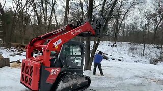 Dead Oak Destruction - Clearing Trees in the Woodyard