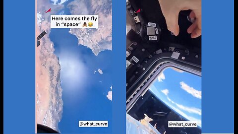 More NASA Fakery from the ISS❓ Viewer spots a fly on one of their fake streams.