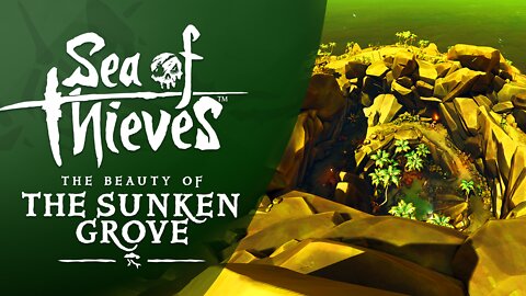 Sea of Thieves: The Beauty of The Sunken Grove