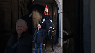 Horse hits tourist on the head #horseguardsparade