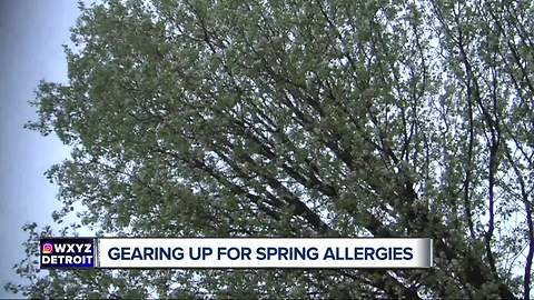 Gearing up for spring allergies