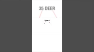 The problem with modern doe hunting #deer #deerhunting #biology