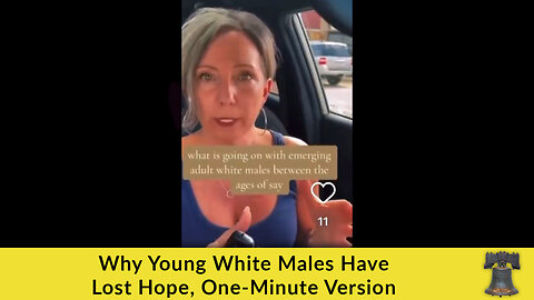 Why Young White Males Have Lost Hope, One-Minute Version