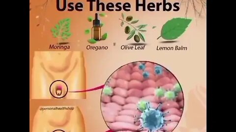 Natural herpes cure get your herbal medicine to cure herpes WhatsApp ‪+234 814 017 5142‬ #drsebi #us