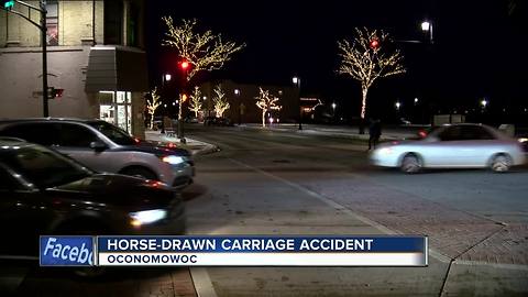 Horse-Drawn Carriage Passenger Recounts Ordeal