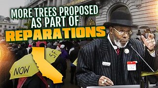 More Trees In Black Communities Proposed As Part Of California Reparations Plan