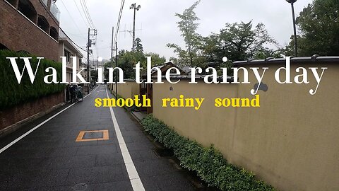 walk in the rainy day,雨天漫步聆听雨声，#雨声 #白噪音 #whitenoise