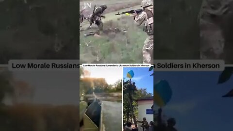 WATCH: Low Morale Desperate Russians Surrender to Ukrainian Soldiers in Kherson 🏳 #shorts