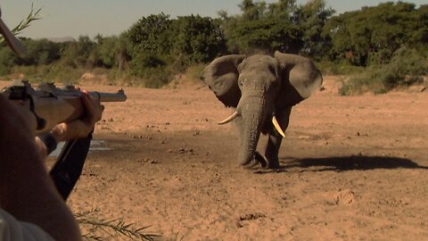 World's Greatest Elephant Hunts