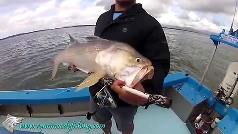 Fishing for huge king threadfin in north Queensland