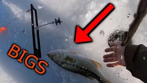 Ice Fishing for Largemouth Bass (Tips and Tricks)