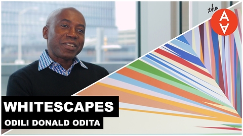 S3 Ep29: Whitescapes - Odili Donald Odita | The Art Assignme