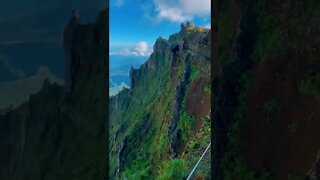 Amazing Madeira Tiktok cosmowandern