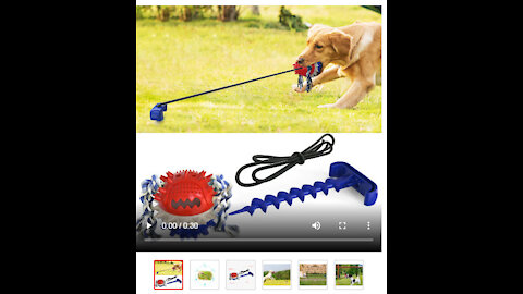 Outdoor Dog Toy Chew Toy Interactive Play for Aggressive Chewing Dogs