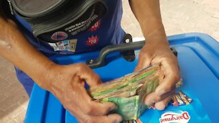 SOUTH AFRICA - Cape Town - Mohammed 'Boeta' Cassiem, the ice cream seller, at Newlands (Video) (Fsa)