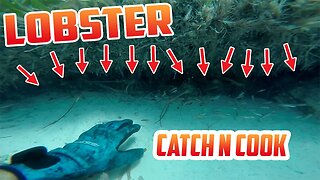 Shooting a FISH while Scouting for LOBSTER | Cooking a whole fish with MANGO catch and cook