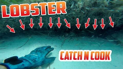 Shooting a FISH while Scouting for LOBSTER | Cooking a whole fish with MANGO catch and cook