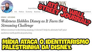 Até a Mídia Está Reclamando do Identitarismo na Disney