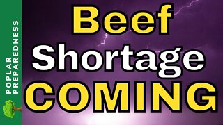 FARMING Insider WARNING of Coming Beef Shortage